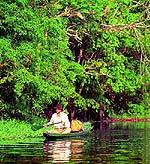 Amazonie